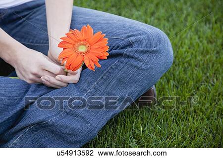 Stock Image - USA, Illinois, Metamora, Close-up of young woman sitting on grass, holding flower. Fotosearch