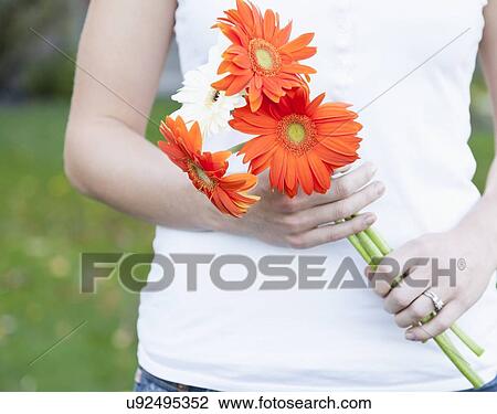 USA, Illinois, Metamora, Close-up of young woman holding flowers View Large Photo Image Stock Image - USA, Illinois, Metamora, Close-up of young woman holding flowers. Fotosearch