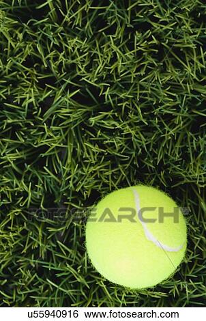 Stock Photograph - USA, Illinois, Metamora, Close up of tennis ball on grass court. Fotosearch
