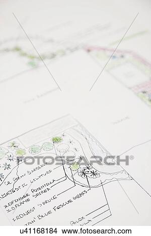 USA, Illinois, Metamora, Close-up on garden plan View Large Photo Image Picture - USA, Illinois, Metamora, Close-up on garden plan. Fotosearch