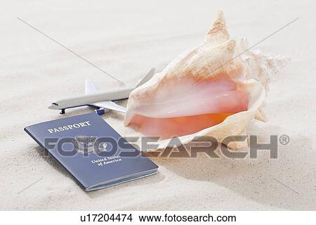 USA, Illinois, Metamora, Conch shell, passport and toy airplane on beach View Large Photo Image Picture - USA, Illinois, Metamora, Conch shell, passport and toy airplane on beach. Fotosearch