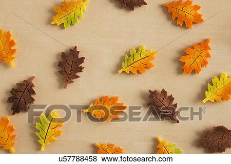USA, Illinois, Metamora, Fake autumn leaves View Large Photo Image Stock Photo - USA, Illinois, Metamora, Fake autumn leaves. Fotosearch