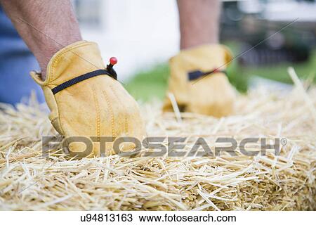 USA, Illinois, Metamora, Farmer lifting hay bale on farm View Large Photo Image Stock Image - USA, Illinois, Metamora, Farmer lifting hay bale on farm. Fotosearch