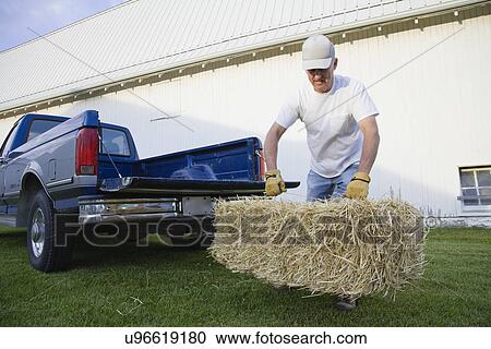 USA, Illinois, Metamora, Farmer lifting hay bale on farm View Large Photo Image Stock Image - USA, Illinois, Metamora, Farmer lifting hay bale on farm. Fotosearch