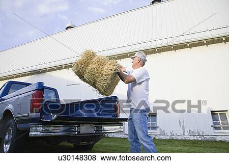 Stock Photo - USA, Illinois, Metamora, Farmer lifting hay bale on farm. Fotosearch