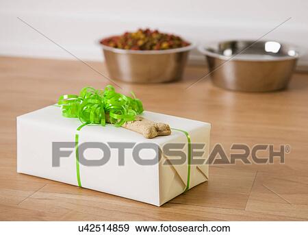 Stock Photo - USA, Illinois, Metamora, Gift box with dog bone. Fotosearch