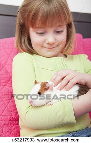 Stock Image - USA, Illinois, Metamora, Girl (4-5) holding guinea pig. Fotosearch