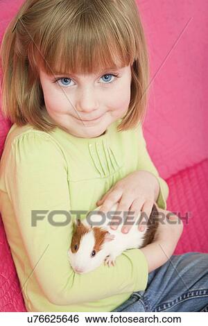 Stock Photograph - USA, Illinois, Metamora, Girl (4-5) holding guinea pig. Fotosearch
