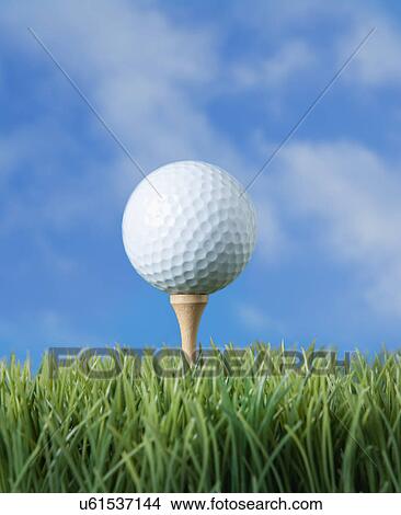 Picture - USA, Illinois, Metamora, Golf ball on tee. Fotosearch