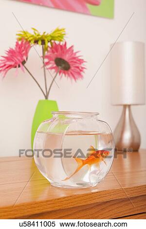Stock Photography - USA, Illinois, Metamora, Golfish in fishbowl, vase with flowers in background. Fotosearch