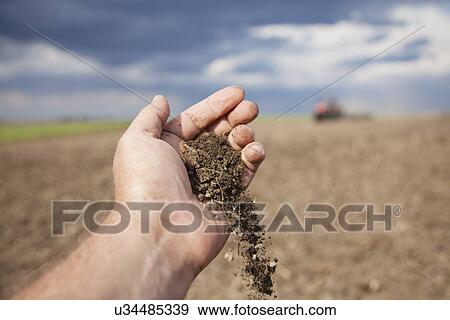 USA, Illinois, Metamora, hand holding dirt, ploughed field in background View Large Photo Image Stock Photo - USA, Illinois, Metamora, hand holding dirt, ploughed field in background. Fotosearch