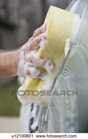 USA, Illinois, Metamora, Hand washing car View Large Photo Image Stock Image - USA, Illinois, Metamora, Hand washing car. Fotosearch