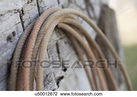 USA, Illinois, Metamora, Lasso hanging outdoors View Large Photo Image Stock Image - USA, Illinois, Metamora, Lasso hanging outdoors. Fotosearch