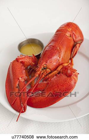 Stock Photo - USA, Illinois, Metamora, Lobster on plate. Fotosearch