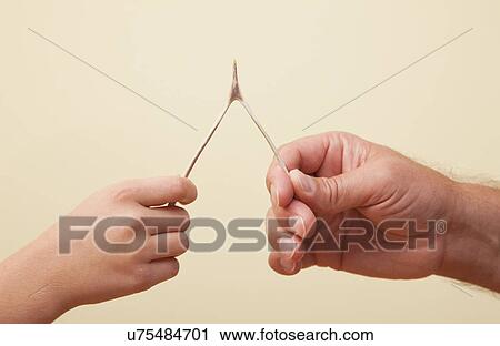 Stock Image - USA, Illinois, Metamora, Man and boy holding turkey wishbone. Fotosearch