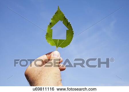 Stock Photograph - USA, Illinois, Metamora, Man's hand holding leaf with house shape against sky. Fotosearch