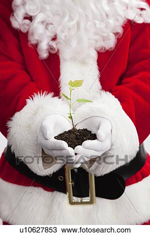 Stock Image - USA, Illinois, Metamora, Midsection of Santa Claus holding pile of dirt with seedling. Fotosearch