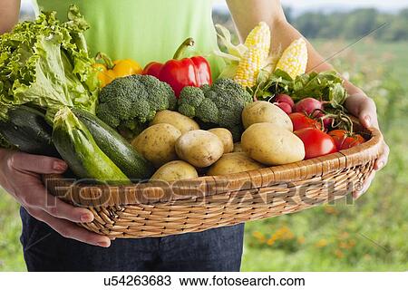 USA, Illinois, Metamora, midsection of woman holding freshly harvested vegetables View Large Photo Image Stock Image - USA, Illinois, Metamora, midsection of woman holding freshly harvested vegetables. Fotosearch