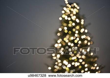 Stock Photo - USA, Illinois, Metamora, Part of christmas tree, out of focus. Fotosearch