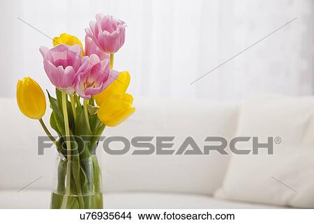 Picture - USA, Illinois, Metamora, Pink and yellow tulips in vase. Fotosearch