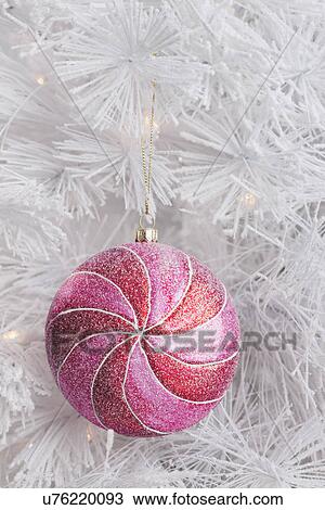 USA, Illinois, Metamora, pink Christmas bauble on white Christmas tree, close-up View Large Photo Image Stock Image - USA, Illinois, Metamora, pink Christmas bauble on white Christmas tree, close-up. Fotosearch