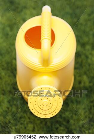 USA, Illinois, Metamora, Plastic watering can on lawn View Large Photo Image Stock Image - USA, Illinois, Metamora, Plastic watering can on lawn. Fotosearch
