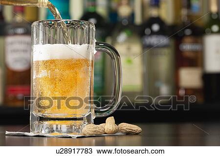 USA, Illinois, Metamora, Pouring beer into beer mug View Large Photo Image Stock Image - USA, Illinois, Metamora, Pouring beer into beer mug. Fotosearch