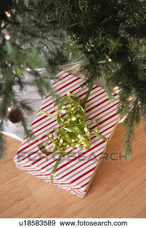 USA, Illinois, Metamora, Present under Christmas tree View Large Photo Image Stock Photo - USA, Illinois, Metamora, Present under Christmas tree. Fotosearch
