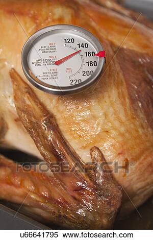 USA, Illinois, Metamora, Roasted turkey with thermometer View Large Photo Image Stock Photography - USA, Illinois, Metamora, Roasted turkey with thermometer. Fotosearch