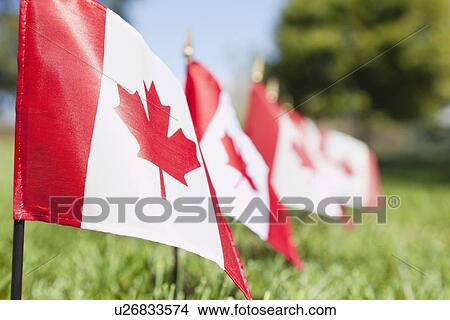 Picture - USA, Illinois, Metamora, Row of Canadian flags on cemetery. Fotosearch