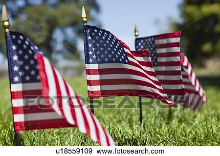 Stock Photo - USA, Illinois, Metamora, Row of American flags on cemetery. Fotosearch
