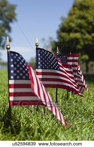 Stock Photo - USA, Illinois, Metamora, Row of American flags on cemetery. Fotosearch
