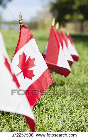 Stock Photo - USA, Illinois, Metamora, Row of Canadian flags on cemetery. Fotosearch