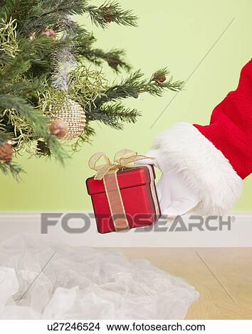 Picture - USA, Illinois, Metamora, Santa clause putting gift under Christmas tree. Fotosearch