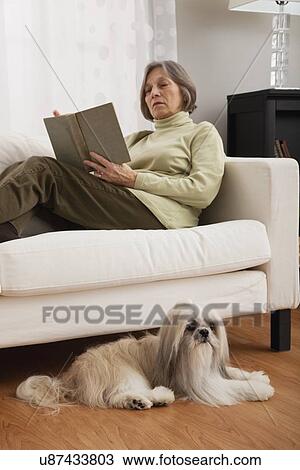 USA, Illinois, Metamora, Senior woman sitting on sofa and reading book, dog lying on floor View Large Photo Image Stock Image - USA, Illinois, Metamora, Senior woman sitting on sofa and reading book, dog lying on floor. Fotosearch