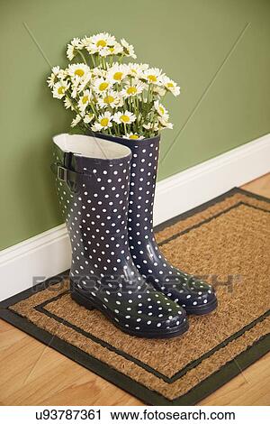 Stock Image - USA, Illinois, Metamora, Spotted rubber boots with bunch of daises inside. Fotosearch