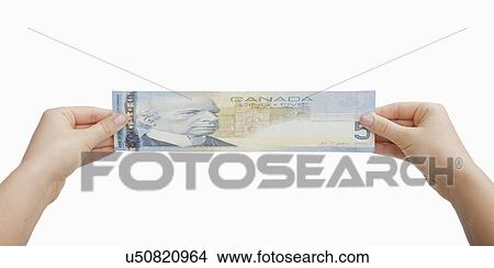 USA, Illinois, Metamora, Studio shot of woman's hands stretching Canadian five-dollar bill View Large Photo Image Picture - USA, Illinois, Metamora, Studio shot of woman's hands stretching Canadian five-dollar bill. Fotosearch