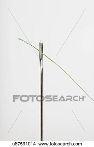 Picture - USA, Illinois, Metamora, studio shot of needle and green thread. Fotosearch