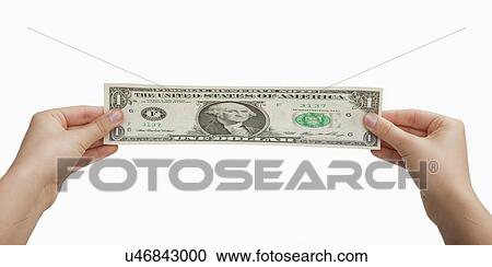 Stock Image - USA, Illinois, Metamora, Studio shot of woman's hands stretching US dollar banknote. Fotosearch
