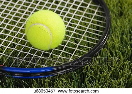 USA, Illinois, Metamora, Tennis ball and tennis racket on grass View Large Photo Image Stock Photo - USA, Illinois, Metamora, Tennis ball and tennis racket on grass. Fotosearch