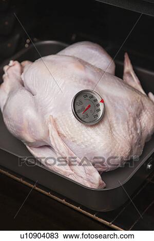 USA, Illinois, Metamora, Turkey in oven View Large Photo Image Stock Image - USA, Illinois, Metamora, Turkey in oven. Fotosearch