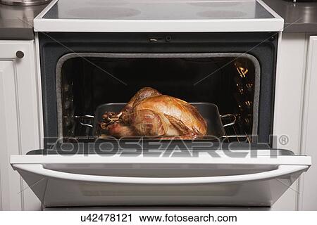 Stock Image - USA, Illinois, Metamora, Turkey in oven. Fotosearch