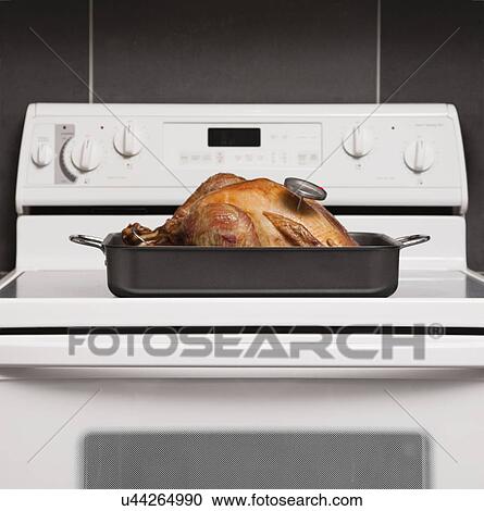 Stock Image - USA, Illinois, Metamora, Turkey in baking tray. Fotosearch