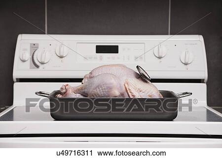 Stock Image - USA, Illinois, Metamora, Turkey in baking tray. Fotosearch