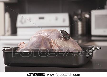 Stock Photo - USA, Illinois, Metamora, Turkey in baking tray. Fotosearch