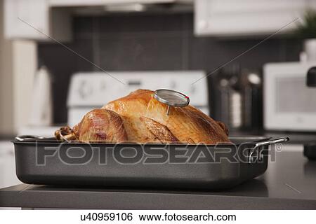 Stock Photograph - USA, Illinois, Metamora, Turkey in baking tray. Fotosearch