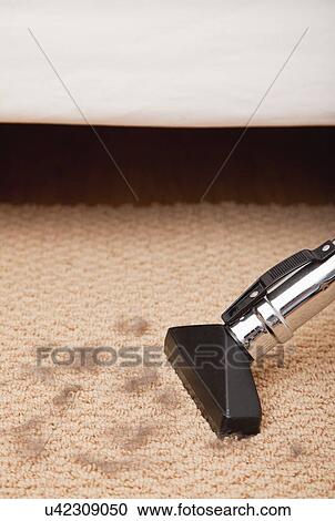 Stock Image - USA, Illinois, Metamora, Vacuuming cat fur. Fotosearch