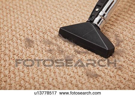 USA, Illinois, Metamora, Vacuuming cat fur View Large Photo Image Stock Photo - USA, Illinois, Metamora, Vacuuming cat fur. Fotosearch