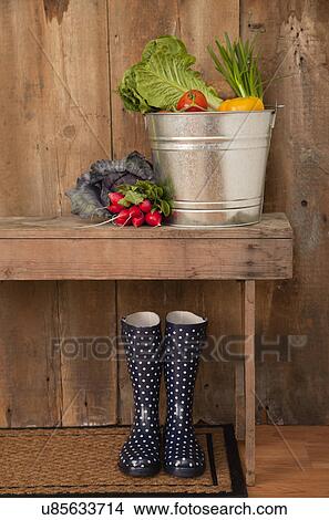 USA, Illinois, Metamora, Vegetable in metal bucket, rubber boots under table View Large Photo Image Picture - USA, Illinois, Metamora, Vegetable in metal bucket, rubber boots under table. Fotosearch