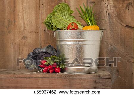 Stock Image - USA, Illinois, Metamora, Vegetable in metal bucket. Fotosearch